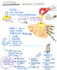 23_p7_bradner_naming