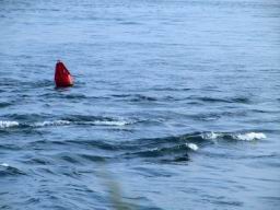 bouy3994.JPG