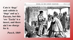 Punch1869