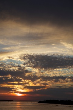 IMG_7667
