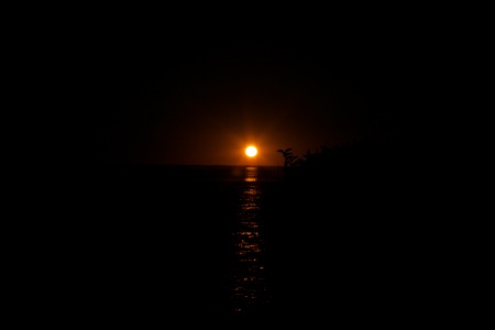 IMG_1687