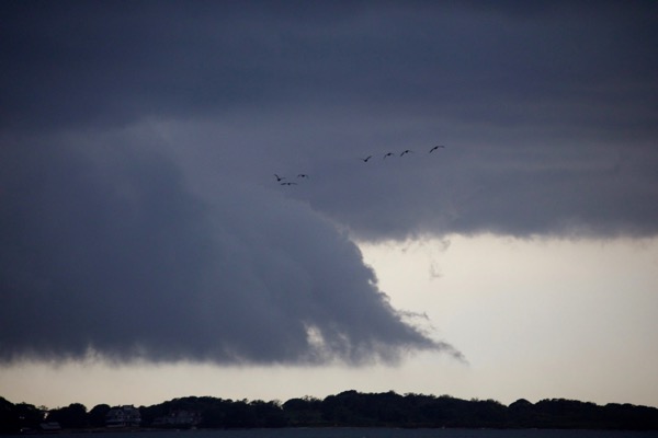 Photo by Scott Bradner - 110